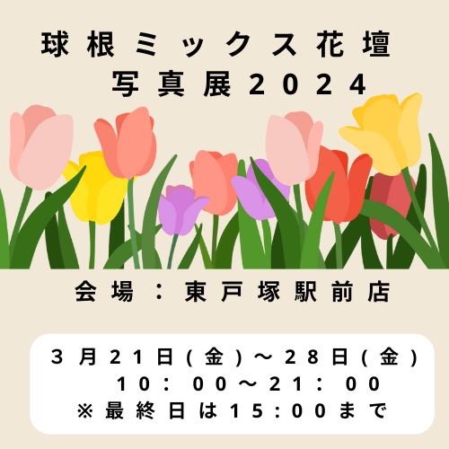 球根ミックス花壇 写真展2024