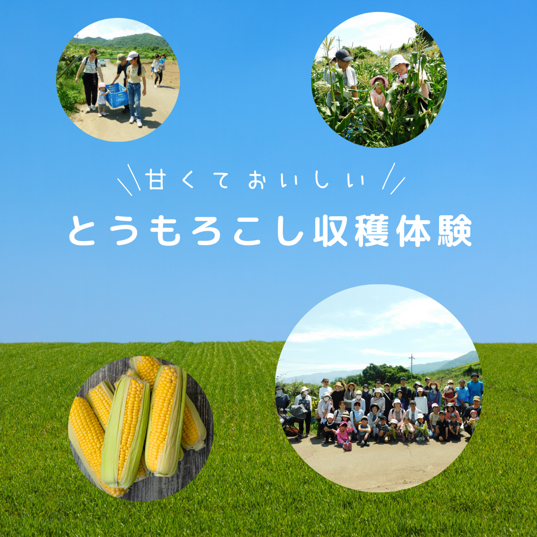 20250614_toumorokosi①