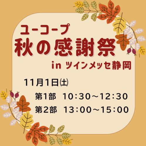 20251101_shizuoka-festival