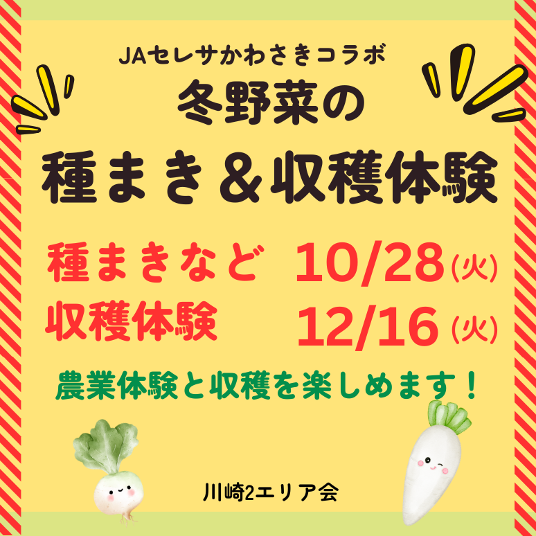 川崎2 冬野菜の種まき＆収穫体験サムネイル (774 x 774 px)のコピー