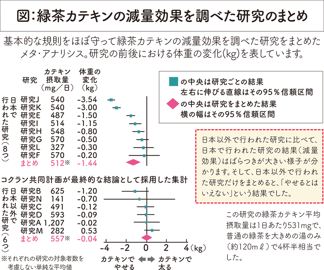 緑茶カテキンの減量効果を調べた研究のまとめ図